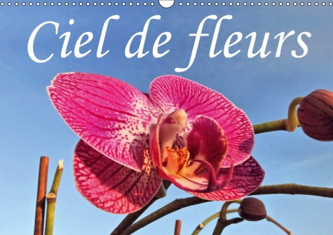 Emprunter CIEL DE FLEURS (CALENDRIER MURAL 2019 DIN A3 HORIZONTAL) - BEAUTE DES FLEURS SOUS UN ANGLE DIFFERENT livre