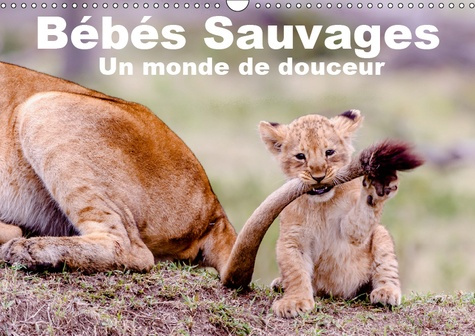 Emprunter BEBES SAUVAGES - UN MONDE DE DOUCEUR (CALENDRIER MURAL 2019 DIN A3 HORIZONTAL) - BEBES MAMIFERES DAN livre