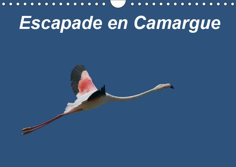 Emprunter ESCAPADE EN CAMARGUE (CALENDRIER MURAL 2019 DIN A4 HORIZONTAL) - OBSERVONS LA FAUNE CAMARGUAISE DANS livre