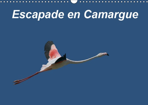Emprunter ESCAPADE EN CAMARGUE (CALENDRIER MURAL 2019 DIN A3 HORIZONTAL) - OBSERVONS LA FAUNE CAMARGUAISE DANS livre