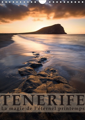 Emprunter TENERIFE LA MAGIE DE L'ETERNEL PRINTEMPS (CALENDRIER MURAL 2019 DIN A4 VERTICAL) - LA MAGIE DE L'ETE livre