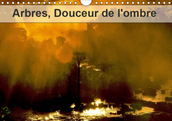 Emprunter ARBRES, DOUCEUR DE L'OMBRE (CALENDRIER MURAL 2019 DIN A4 HORIZONTAL) - ARBRES ET FORET DU MONDE (CAL livre