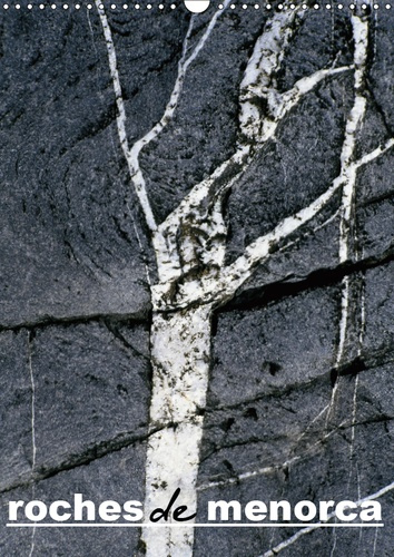 Emprunter ROCHES DE MENORCA (CALENDRIER MURAL 2019 DIN A3 VERTICAL) - UNE RECHERCHE DES TEXTURES NATURELLES DE livre