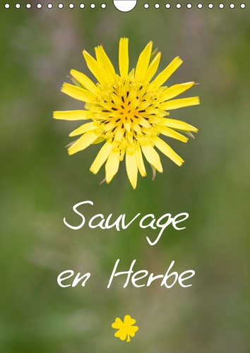 Emprunter SAUVAGE EN HERBE (CALENDRIER MURAL 2019 DIN A4 VERTICAL) - SAUVAGE EN HERBE POUR UNE ANNEE COLOREE E livre
