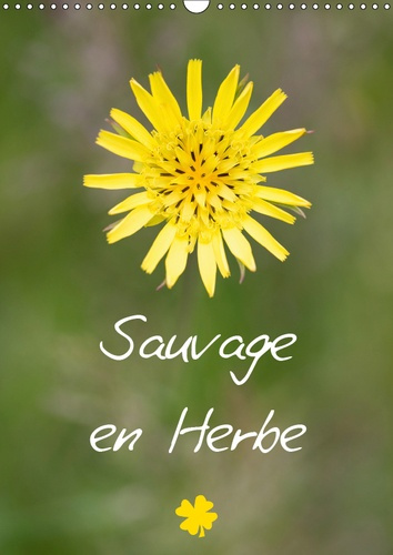 Emprunter SAUVAGE EN HERBE (CALENDRIER MURAL 2019 DIN A3 VERTICAL) - SAUVAGE EN HERBE POUR UNE ANNEE COLOREE E livre