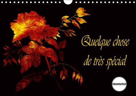 Emprunter QUELQUE CHOSE DE TRES SPECIAL (CALENDRIER MURAL 2019 DIN A4 HORIZONTAL) - DESSINS AUX COULEURS ENSOL livre