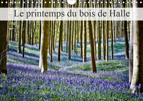 Emprunter LE PRINTEMPS DU BOIS DE HALLE (CALENDRIER MURAL 2019 DIN A4 HORIZONTAL) - HALLERBOS, LA FORET FEERIQ livre