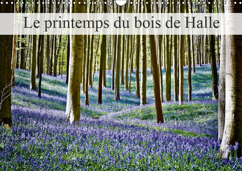 Emprunter LE PRINTEMPS DU BOIS DE HALLE (CALENDRIER MURAL 2019 DIN A3 HORIZONTAL) - HALLERBOS, LA FORET FEERIQ livre