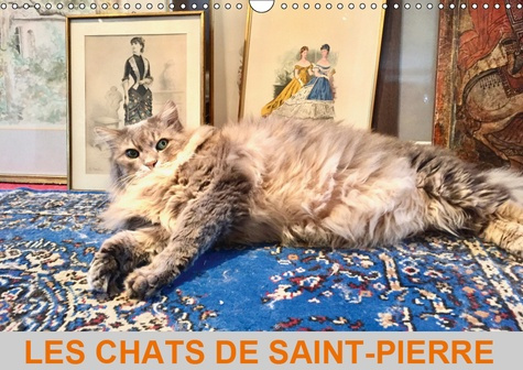 Emprunter LES CHATS DE SAINT-PIERRE (CALENDRIER MURAL 2019 DIN A3 HORIZONTAL) - LES CHATS DE GOUTTIERE EN MODE livre