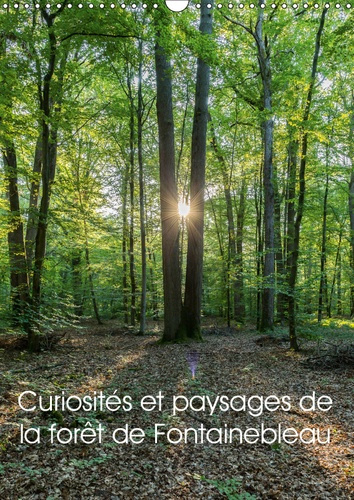 Emprunter CURIOSITES ET PAYSAGES DE LA FORET DE FONTAINEBLEAU (CALENDRIER MURAL 2019 DIN A3 VERTICAL) - PARTEZ livre