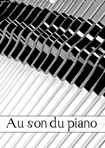 Emprunter AU SON DU PIANO (CALENDRIER MURAL 2019 DIN A3 VERTICAL) - MANUFACTURE DE PIANOS (CALENDRIER MENSUEL, livre