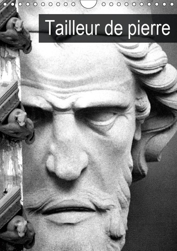 Emprunter TAILLEUR DE PIERRE (CALENDRIER MURAL 2019 DIN A4 VERTICAL) - RESTAURATION DES MONUMENTS EN PIERRE (C livre