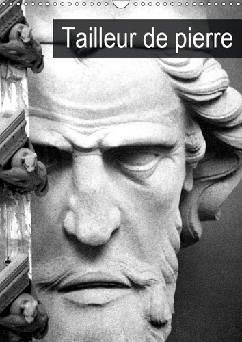 Emprunter TAILLEUR DE PIERRE (CALENDRIER MURAL 2019 DIN A3 VERTICAL) - RESTAURATION DES MONUMENTS EN PIERRE (C livre