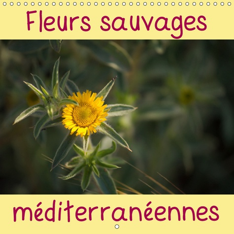Emprunter FLEURS SAUVAGES MEDITERRANEENNES (CALENDRIER MURAL 2019 300 * 300 MM SQUARE) - UN CALENDRIER AVEC UN livre