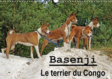 Emprunter BASENJI LE TERRIER DU CONGO (CALENDRIER MURAL 2019 DIN A3 HORIZONTAL) - LE BASENJI EST UNE RACE DE C livre