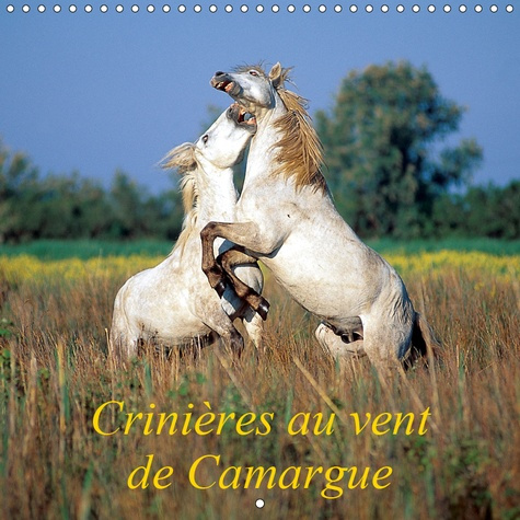 Emprunter CRINIERES AU VENT DE CAMARGUE (CALENDRIER MURAL 2019 300 * 300 MM SQUARE) - CAMARGUE, TERRE DE VENTS livre