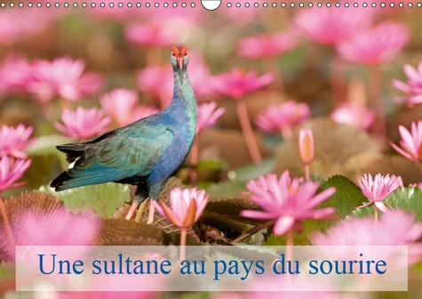 Emprunter UNE SULTANE AU PAYS DU SOURIRE (CALENDRIER MURAL 2019 DIN A3 HORIZONTAL) - LA TALEVE SULTANE EST UN livre