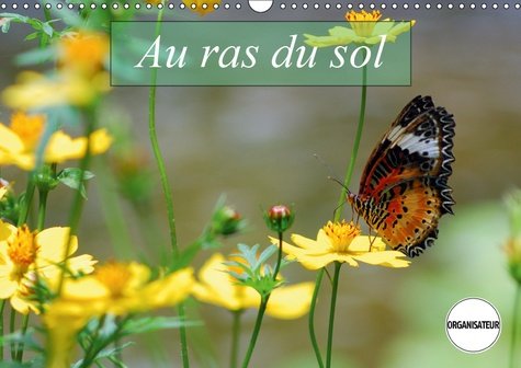 Emprunter AU RAS DU SOL (CALENDRIER MURAL 2019 DIN A3 HORIZONTAL) - MACROPHOTOGRAPHIES D'INSECTES (CALENDRIER livre