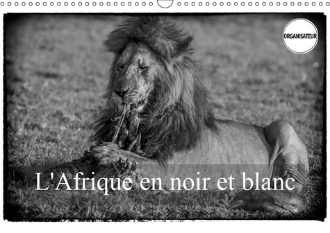 Emprunter L'AFRIQUE EN NOIR ET BLANC (CALENDRIER MURAL 2019 DIN A3 HORIZONTAL) - VISION INHABITUELLE DU MASAI livre