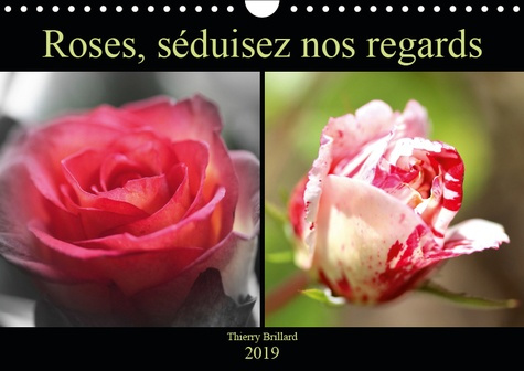 Emprunter ROSES, SEDUISEZ NOS REGARDS (CALENDRIER MURAL 2019 DIN A4 HORIZONTAL) - DIVERS COLORIS DE ROSES (CAL livre