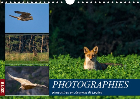 Emprunter PHOTOGRAPHIES RENCONTRES EN AVEYRON & LOZERE (CALENDRIER MURAL 2019 DIN A4 HORIZONTAL) - PHOTOS ANIM livre