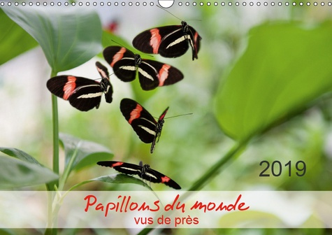 Emprunter PAPILLONS DU MONDE, VUS DE PRES (CALENDRIER MURAL 2019 DIN A3 HORIZONTAL) - PORTRAITS DE DOUZE PAPIL livre