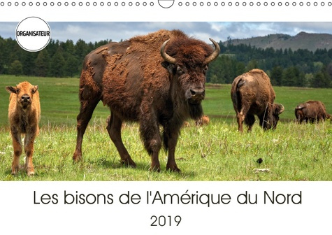 Emprunter LES BISONS DE L'AMERIQUE DU NORD (CALENDRIER MURAL 2019 DIN A3 HORIZONTAL) - LE BISON EST LE PLUS GR livre