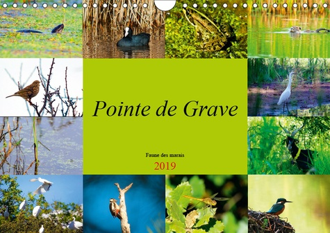Emprunter POINTE DE GRAVE - FAUNE DES MARAIS (CALENDRIER MURAL 2019 DIN A4 HORIZONTAL) - UN PETIT APERCU DE LA livre
