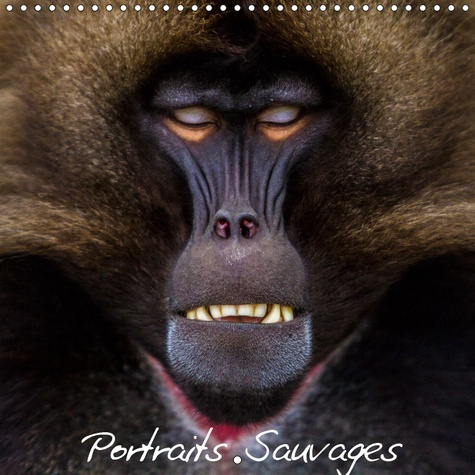 Emprunter PORTRAITS SAUVAGES (CALENDRIER MURAL 2019 300 * 300 MM SQUARE) - PORTRAITS D'ANIMAUX SAUVAGES (CALEN livre