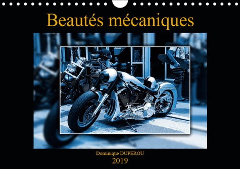 Emprunter BEAUTES MECANIQUES (CALENDRIER MURAL 2019 DIN A4 HORIZONTAL) - QUELQUES BELLES PHOTOS DE BELLES MOTO livre
