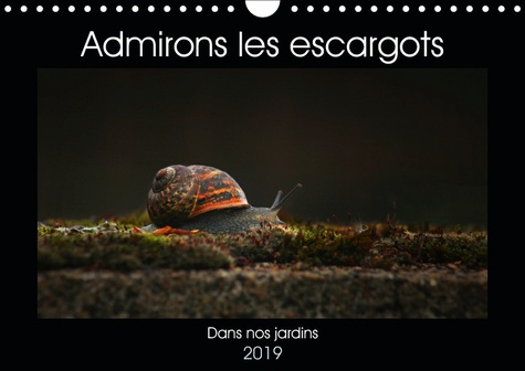Emprunter ADMIRONS LES ESCARGOTS (CALENDRIER MURAL 2019 DIN A4 HORIZONTAL) - DANS NOS JARDINS (CALENDRIER MENS livre