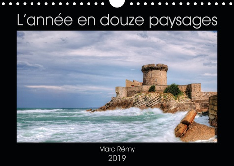 Emprunter L'ANNEE EN DOUZE PAYSAGES (CALENDRIER MURAL 2019 DIN A4 HORIZONTAL) - POUR PASSER L'ANNEE AU FIL DU livre