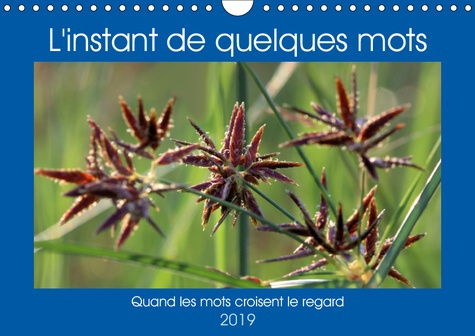 Emprunter L'INSTANT DE QUELQUES MOTS (CALENDRIER MURAL 2019 DIN A4 HORIZONTAL) - QUAND LES MOTS CROISENT LE RE livre