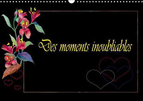 Emprunter DES MOMENTS INOUBLIABLES (CALENDRIER MURAL 2019 DIN A3 HORIZONTAL) - CALENDRIER POUR LA CONCEPTION P livre