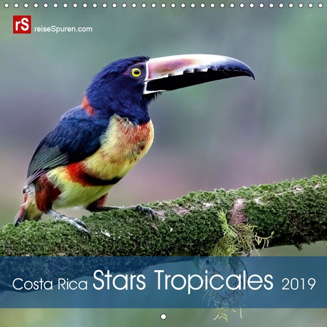 Emprunter COSTA RICA STARS TROPICALES (CALENDRIER MURAL 2019 300 * 300 MM SQUARE) - 12 STARS COLOREES DE LA FA livre