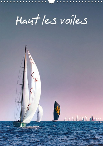 Emprunter HAUT LES VOILES (CALENDRIER MURAL 2019 DIN A3 VERTICAL) - LA VOILE AU GRE DES SAISONS (CALENDRIER ME livre