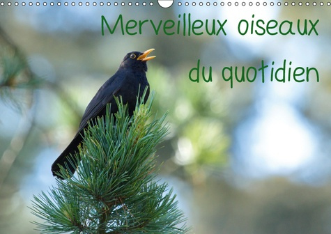 Emprunter MERVEILLEUX OISEAUX DU QUOTIDIEN (CALENDRIER MURAL 2019 DIN A3 HORIZONTAL) - LE QUOTIDIEN OFFRE TANT livre