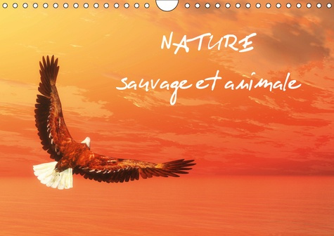 Emprunter NATURE SAUVAGE ET ANIMALE (CALENDRIER MURAL 2019 DIN A4 HORIZONTAL) - SCENES DE NATURE SAUVAGE AUX C livre