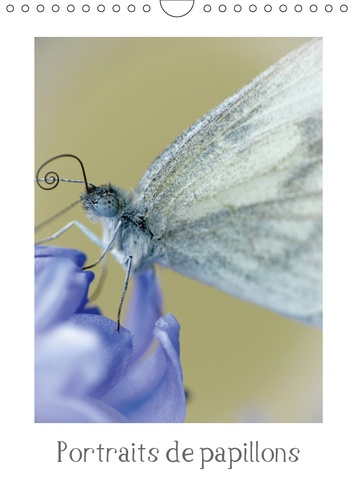 Emprunter PORTRAITS DE PAPILLONS (CALENDRIER MURAL 2019 DIN A4 VERTICAL) - RENCONTRES AVEC QUELQUES PAPILLONS livre