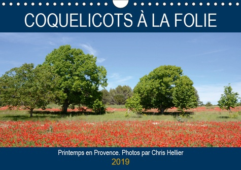 Emprunter COQUELICOTS A LA FOLIE (CALENDRIER MURAL 2019 DIN A4 HORIZONTAL) - PRINTEMPS EN PROVENCE (CALENDRIER livre