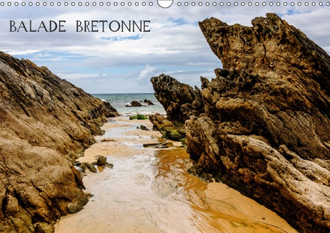 Emprunter BALADE BRETONNE (CALENDRIER MURAL 2019 DIN A3 HORIZONTAL) - PAYSAGES BRETONS (CALENDRIER MENSUEL, 14 livre