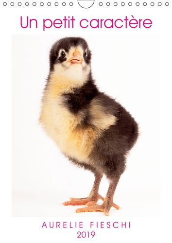 Emprunter UN PETIT CARACTERE (CALENDRIER MURAL 2019 DIN A4 VERTICAL) - SI JEUNES ET DEJA SI EXPRESSIFS ! (CALE livre