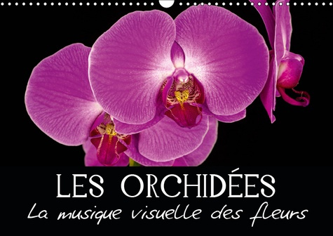 Emprunter LES ORCHIDEES - LA MUSIQUE VISUELLE DES FLEURS (CALENDRIER MURAL 2019 DIN A3 HORIZONTAL) - EGAYEZ VO livre