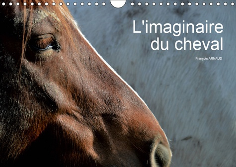 Emprunter L'IMAGINAIRE DU CHEVAL (CALENDRIER MURAL 2019 DIN A4 HORIZONTAL) - REGARD ABSTRAIT SUR LE CHEVAL (CA livre