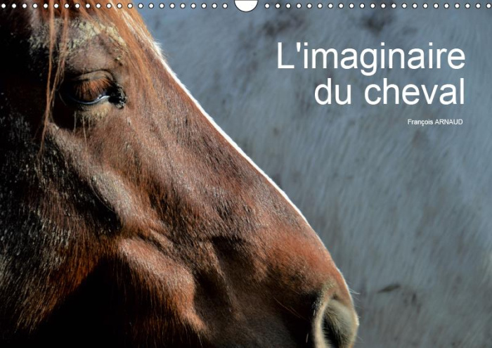 Emprunter L'IMAGINAIRE DU CHEVAL (CALENDRIER MURAL 2019 DIN A3 HORIZONTAL) - REGARD ABSTRAIT SUR LE CHEVAL (CA livre
