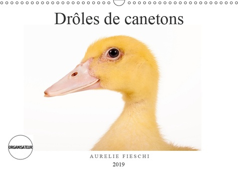 Emprunter DROLES DE CANETONS (CALENDRIER MURAL 2019 DIN A3 HORIZONTAL) - D'ADORABLES CANETONS (CALENDRIER ANNI livre