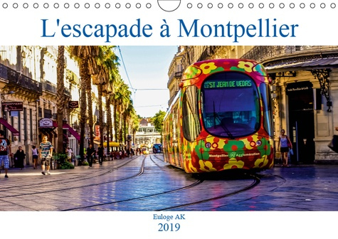 Emprunter L'ESCAPADE A MONTPELLIER (CALENDRIER MURAL 2019 DIN A4 HORIZONTAL) - UNE BALADE DANS LA LUMINEUSE VI livre