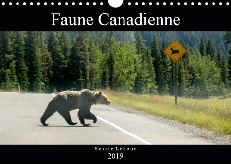 Emprunter FAUNE CANADIENNE (CALENDRIER MURAL 2019 DIN A4 HORIZONTAL) - A LA RENCONTRE DE LA FAUNE OUEST-CANADI livre