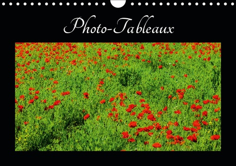 Emprunter PHOTO-TABLEAUX (CALENDRIER MURAL 2019 DIN A4 HORIZONTAL) - PHOTOS OU TABLEAUX? (CALENDRIER MENSUEL, livre