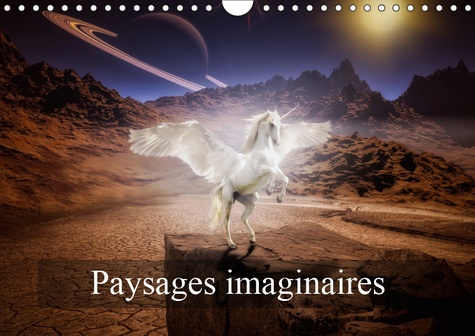 Emprunter PAYSAGES IMAGINAIRES (CALENDRIER MURAL 2019 DIN A4 HORIZONTAL) - IMAGES DE MONDES VIRTUELS (CALENDRI livre